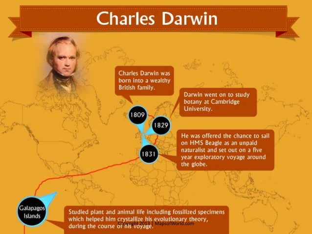Is The Theory Of Evolution True? - Facts & Infographic | PDF