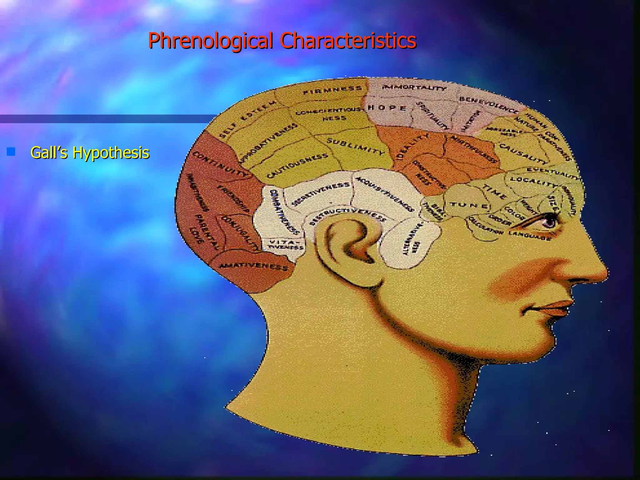 Phrenological Characteristics   Gall’s Hypothesis 