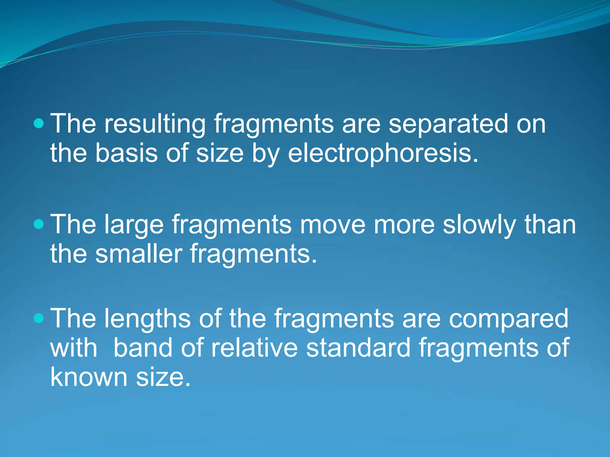  The resulting fragments are separated on
the basis of size by electrophoresis.
 The large fragments move more slowly than
the smaller fragments.
 The lengths of the fragments are compared
with band of relative standard fragments of
known size.
 