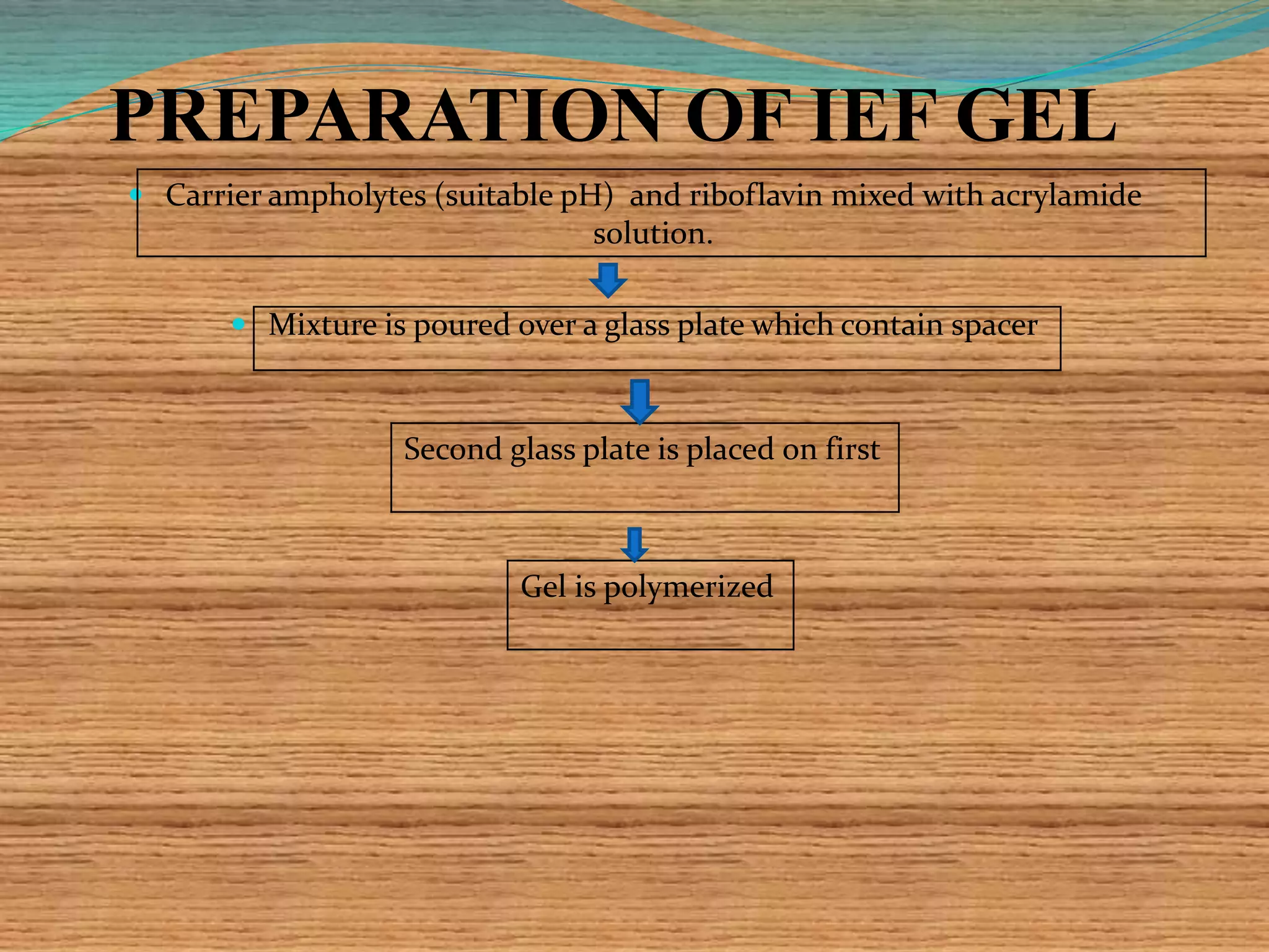 PREPARATION OF IEF GEL
 Carrier ampholytes (suitable pH) and riboflavin mixed with acrylamide
solution.
 Mixture is poured over a glass plate which contain spacer
Second glass plate is placed on first
Gel is polymerized
 