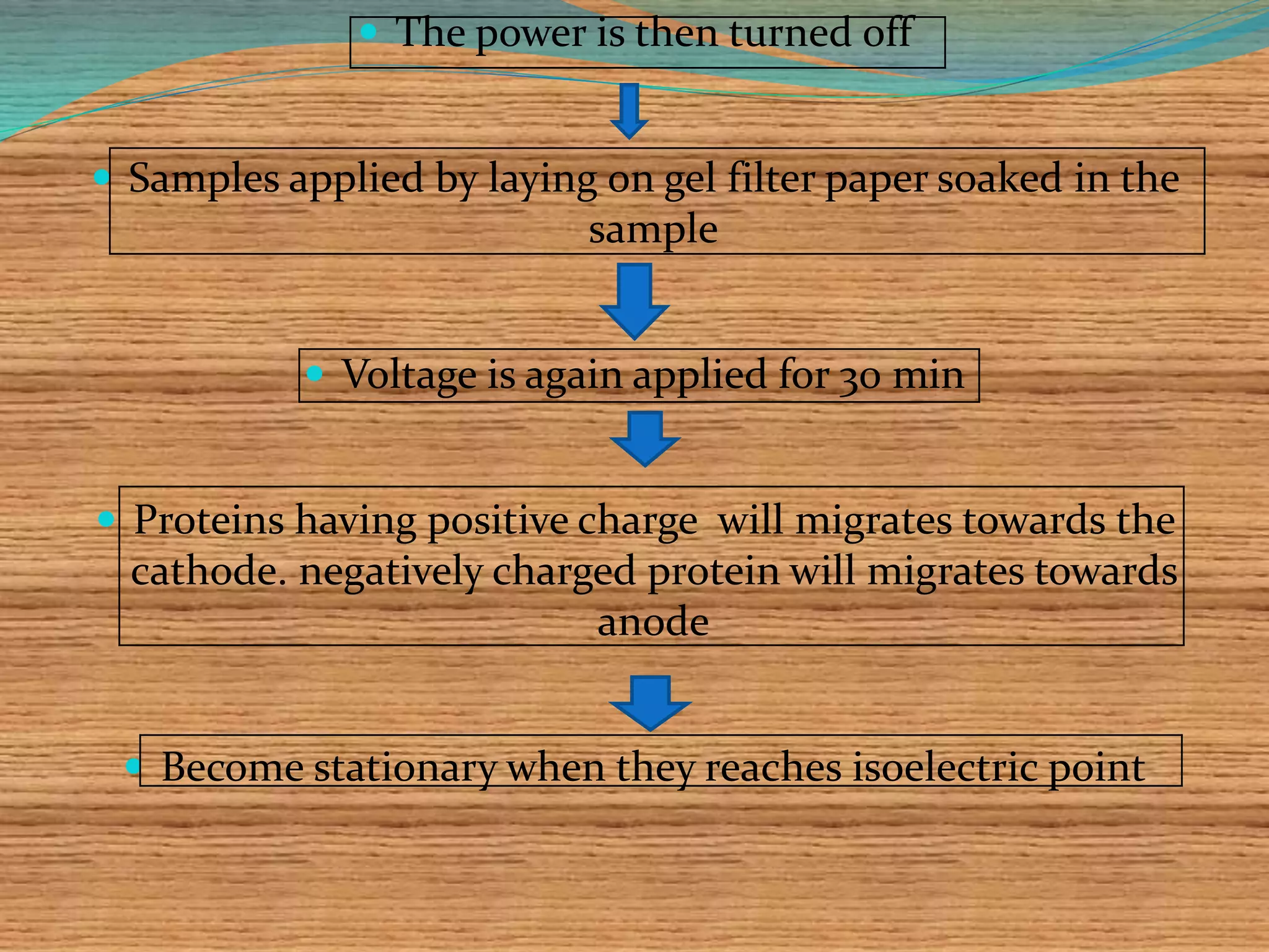  The power is then turned off
 Samples applied by laying on gel filter paper soaked in the
sample
 Voltage is again applied for 30 min
 Proteins having positive charge will migrates towards the
cathode. negatively charged protein will migrates towards
anode
 Become stationary when they reaches isoelectric point
 
