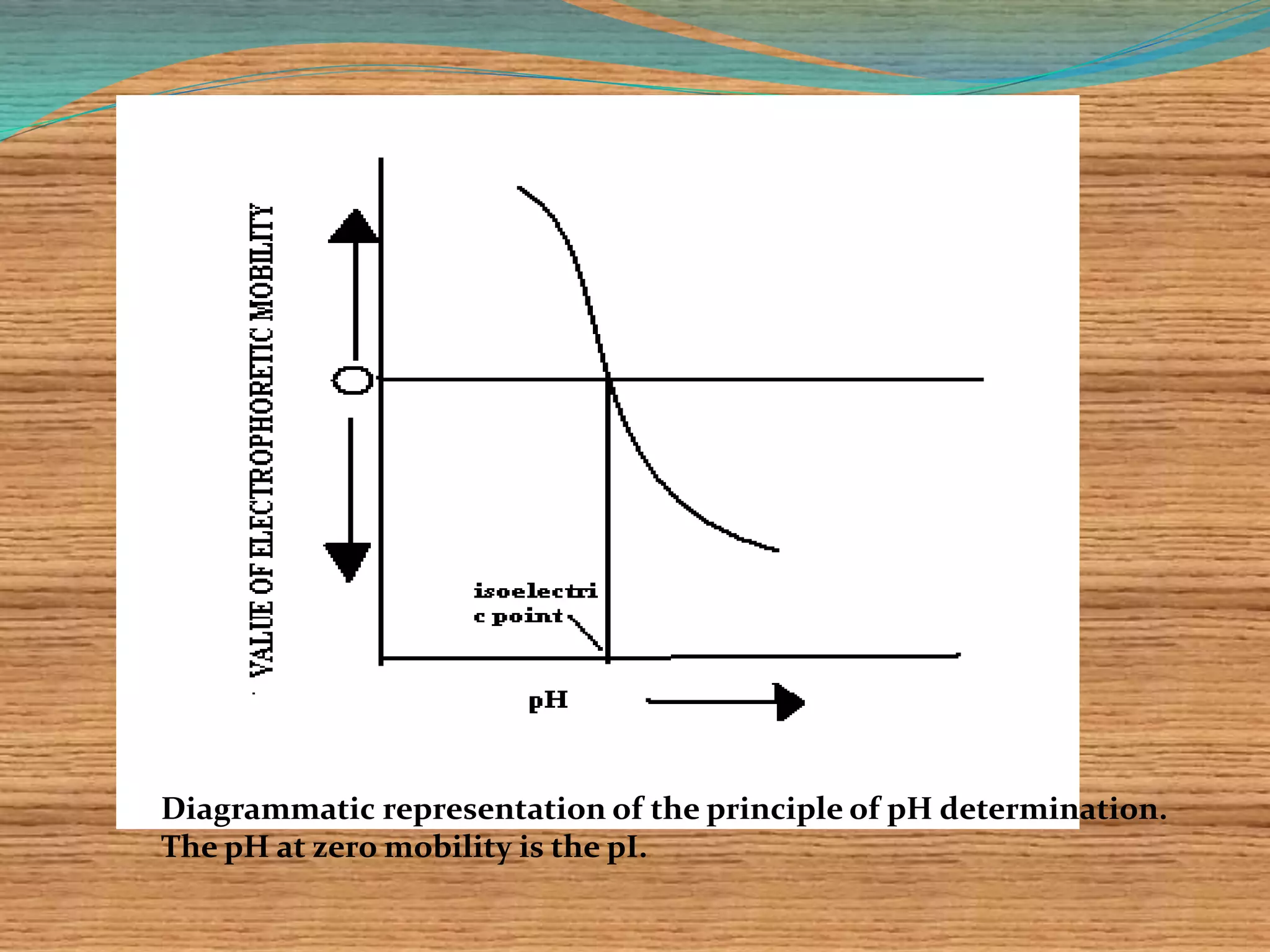 Diagrammatic representation of the principle of pH determination.
The pH at zero mobility is the pI.
 