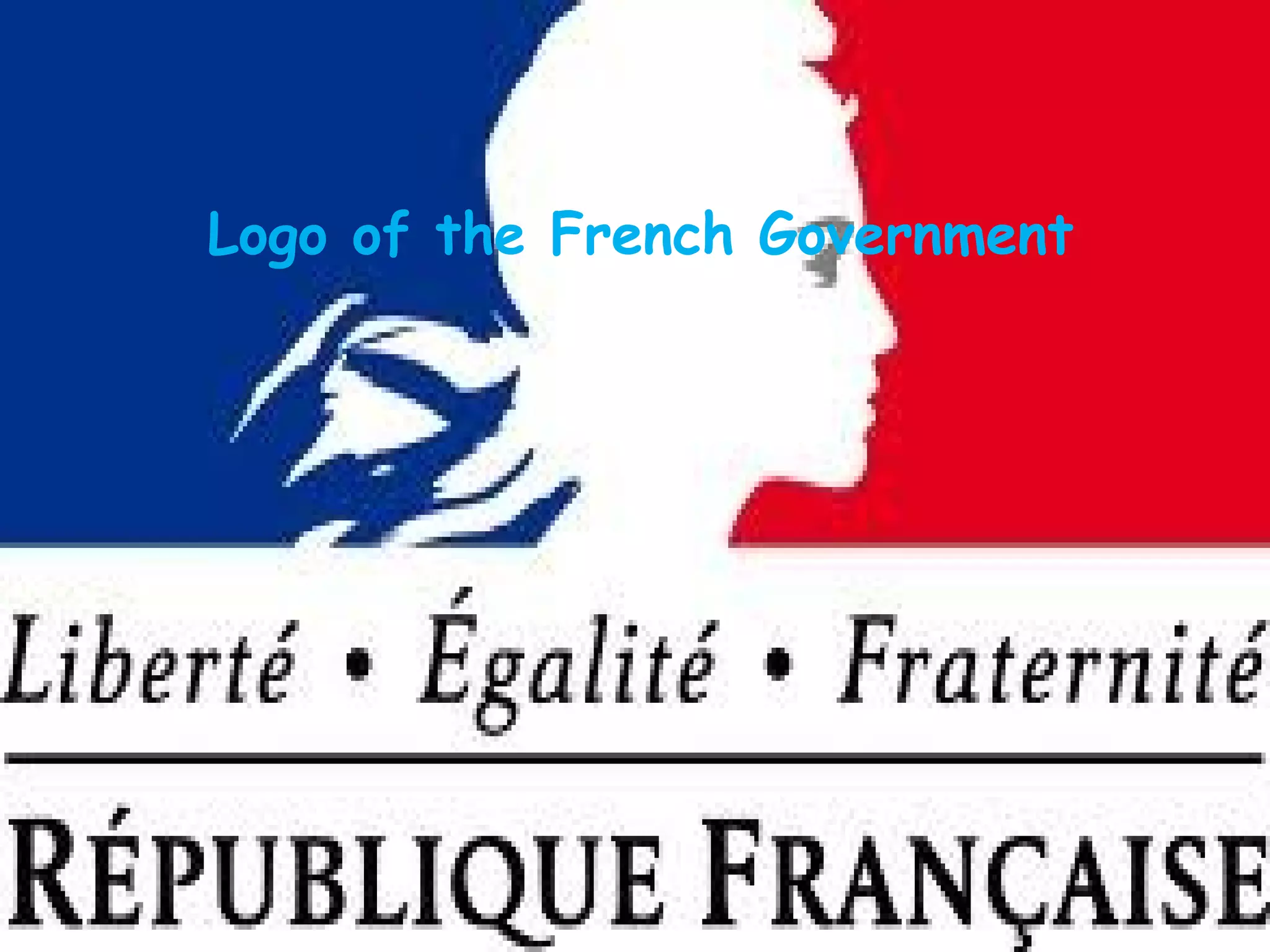 Logo of the French Government
 