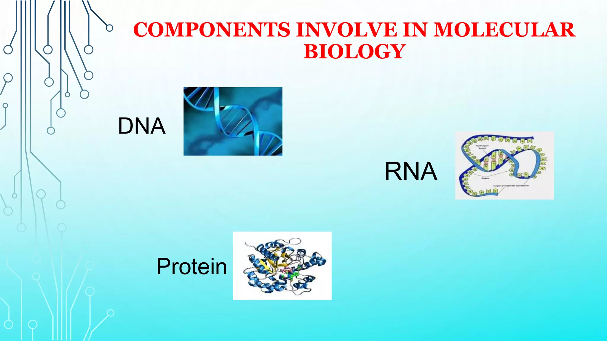 COMPONENTS INVOLVE IN MOLECULAR
BIOLOGY
DNA
RNA
Protein
 