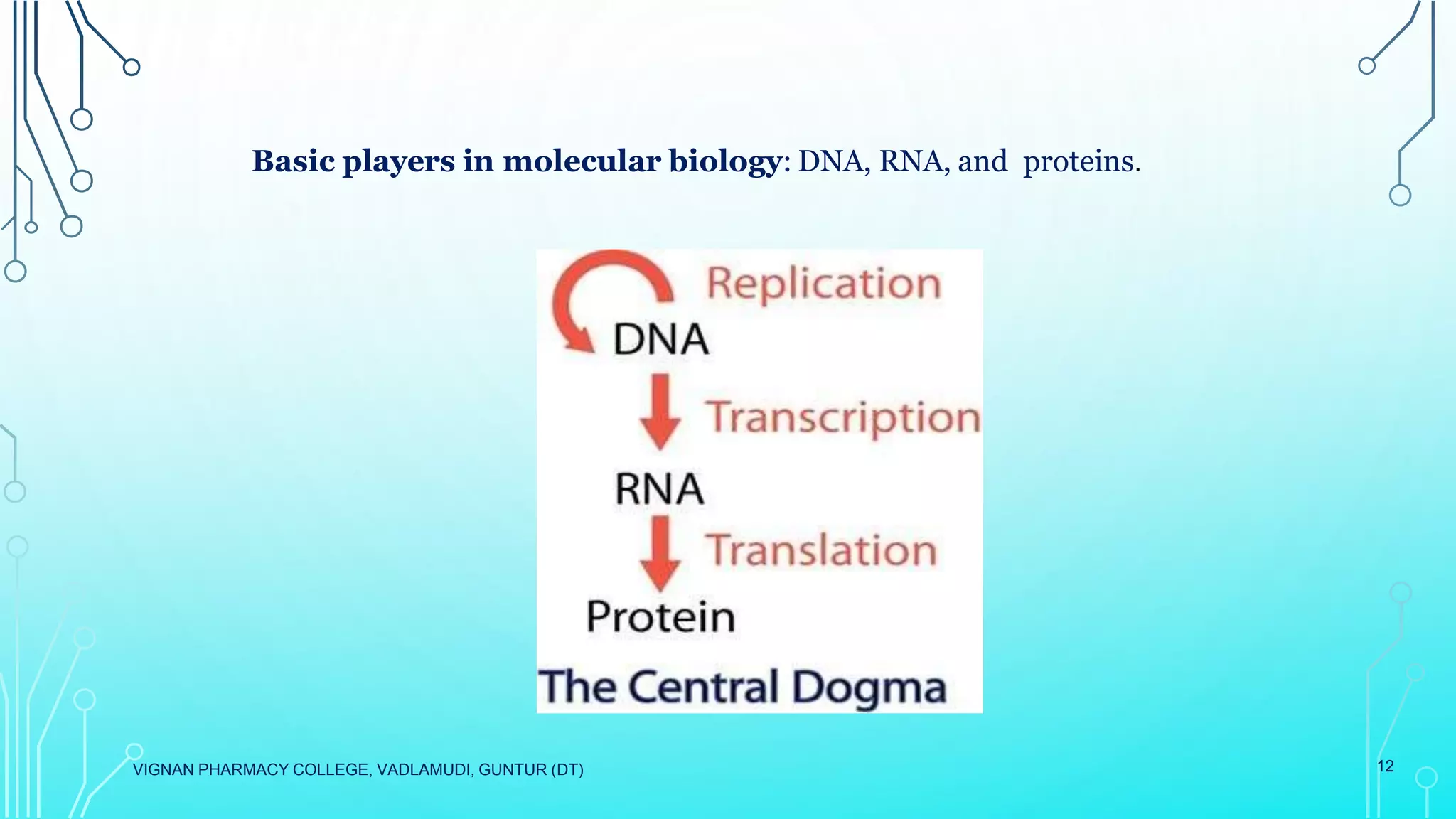 VIGNAN PHARMACY COLLEGE, VADLAMUDI, GUNTUR (DT) 12
Basic players in molecular biology: DNA, RNA, and proteins.
 