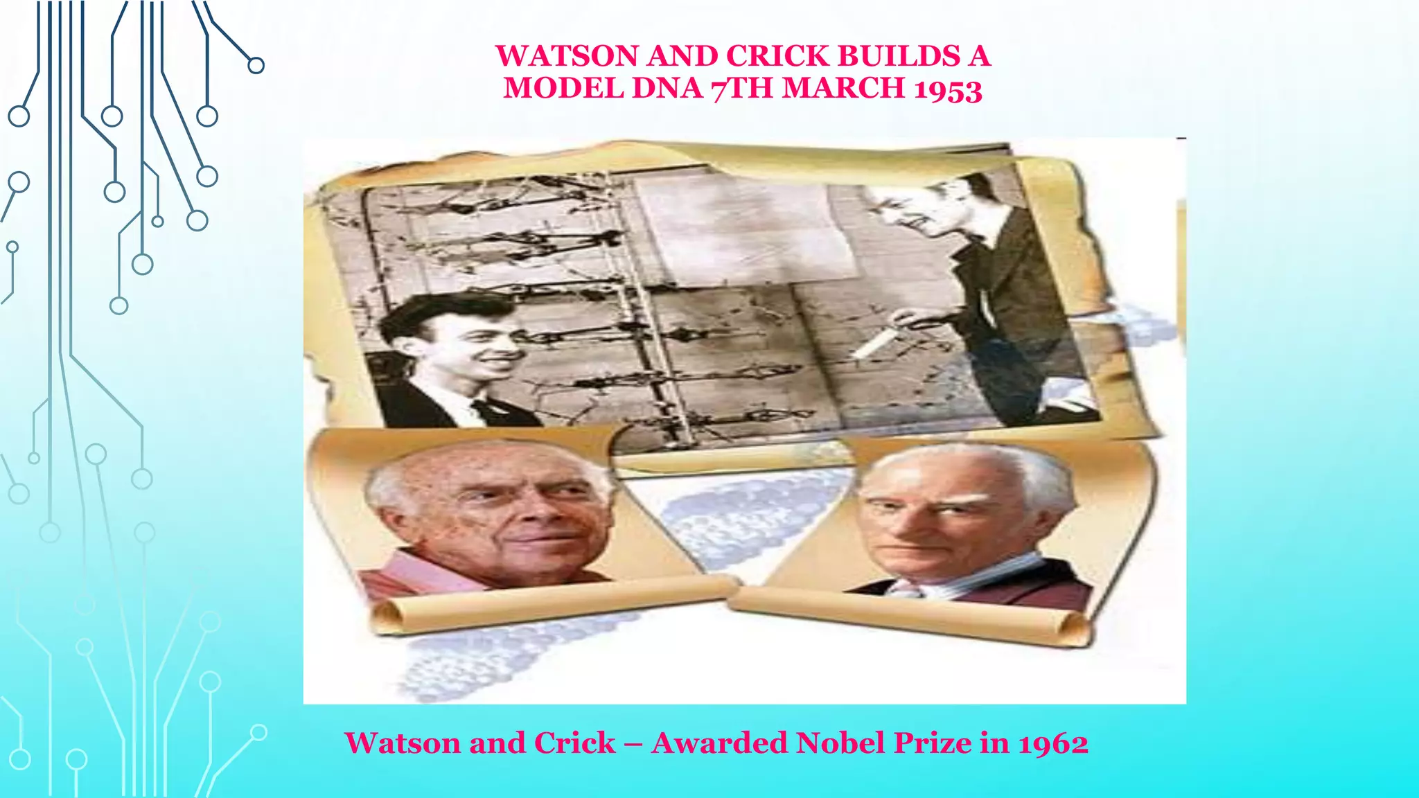 WATSON AND CRICK BUILDS A
MODEL DNA 7TH MARCH 1953
Watson and Crick – Awarded Nobel Prize in 1962
 