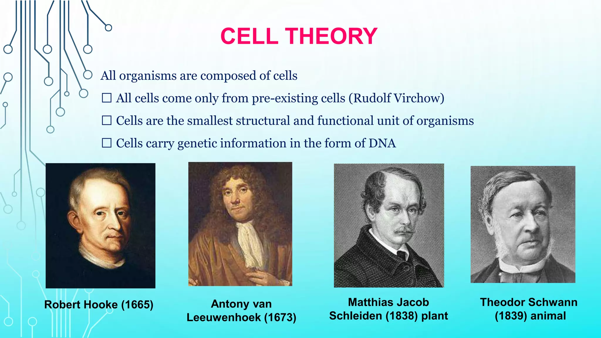 CELL THEORY
All organisms are composed of cells
All cells come only from pre-existing cells (Rudolf Virchow)
Cells are the smallest structural and functional unit of organisms
Cells carry genetic information in the form of DNA
Robert Hooke (1665) Antony van
Leeuwenhoek (1673)
Matthias Jacob
Schleiden (1838) plant
Theodor Schwann
(1839) animal
 