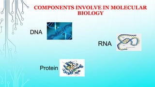 Cell and Molecular Biology: Definitions theory and basics, History and ...