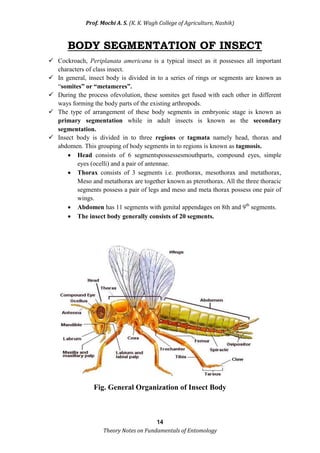Theory notes of Fundamentals of Entomology | PDF