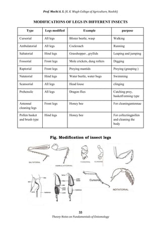 Theory notes of Fundamentals of Entomology | PDF