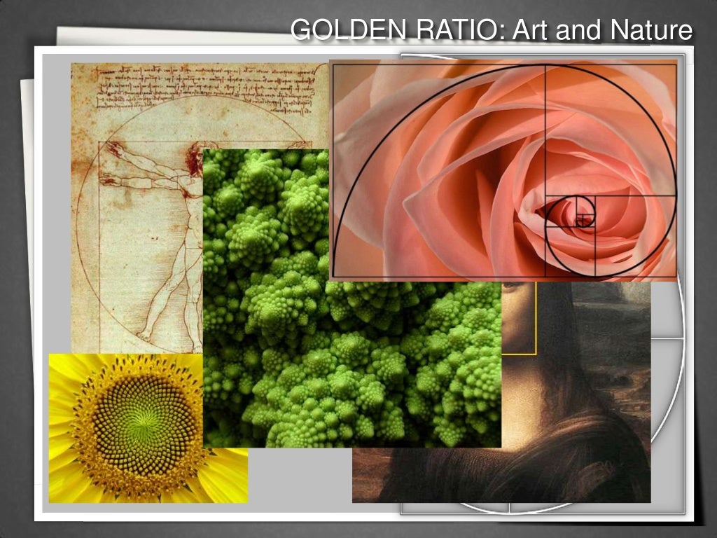 Golden Ratio In Nature Examples