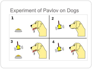 Experiment of Pavlov on Dogs
 