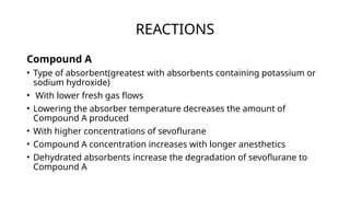 THEORY OF BREATHING SYSTEM (DIFFERENT BREATHING SYSTEM.pptx