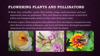 Theory of co-evolution.pptx