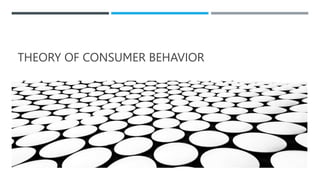 THEORY OF CONSUMER BEHAVIOR
 