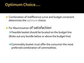 Theory of Consumer Choice Lecture Notes (Economics) | PPTX