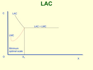 LAC
C
O
X
LAC = LMC
LMC
LAC
XA
Minimum
optimal scale
 