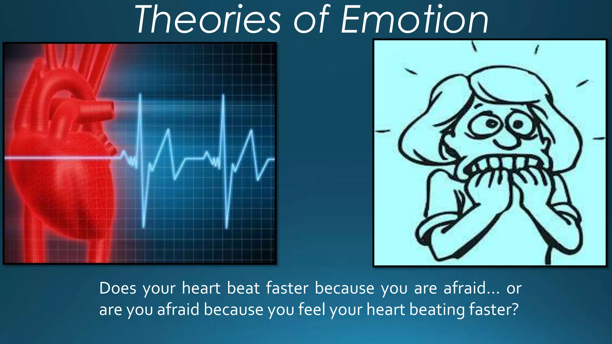 Theories of Emotion 
Does your heart beat faster because you are afraid… or 
are you afraid because you feel your heart beating faster? 
 