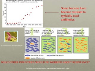 WHAT OTHER INDUSTRIES WOULD BE WORRIED ABOUT RESISTANCE? Life Sciences-HHMI Outreach. Copyright 2006 President and Fellows of Harvard College . http://evolution.berkeley.edu/evolibrary/home.php Some bacteria have become resistant to typically used antibiotics. 