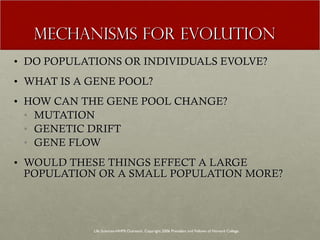 MECHANISMS FOR EVOLUTION DO POPULATIONS OR INDIVIDUALS EVOLVE? WHAT IS A GENE POOL? HOW CAN THE GENE POOL CHANGE? MUTATION GENETIC DRIFT GENE FLOW WOULD THESE THINGS EFFECT A LARGE POPULATION OR A SMALL POPULATION MORE? Life Sciences-HHMI Outreach. Copyright 2006 President and Fellows of Harvard College . 
