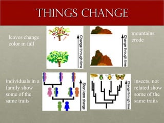 Things change leaves change  color in fall mountains erode individuals in a family show  some of the same traits insects, not related show some of the same traits  