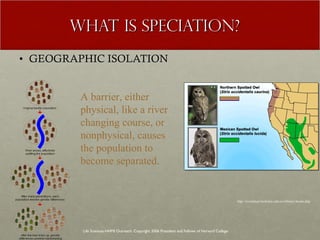 WHAT IS SPECIATION? GEOGRAPHIC ISOLATION Life Sciences-HHMI Outreach. Copyright 2006 President and Fellows of Harvard College . http://evolution.berkeley.edu/evolibrary/home.php A barrier, either physical, like a river changing course, or nonphysical, causes the population to become separated. 