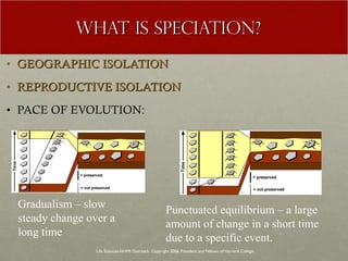 WHAT IS SPECIATION? GEOGRAPHIC ISOLATION REPRODUCTIVE ISOLATION PACE OF EVOLUTION:  Life Sciences-HHMI Outreach. Copyright 2006 President and Fellows of Harvard College . Gradualism – slow steady change over a long time Punctuated equilibrium – a large amount of change in a short time due to a specific event.  