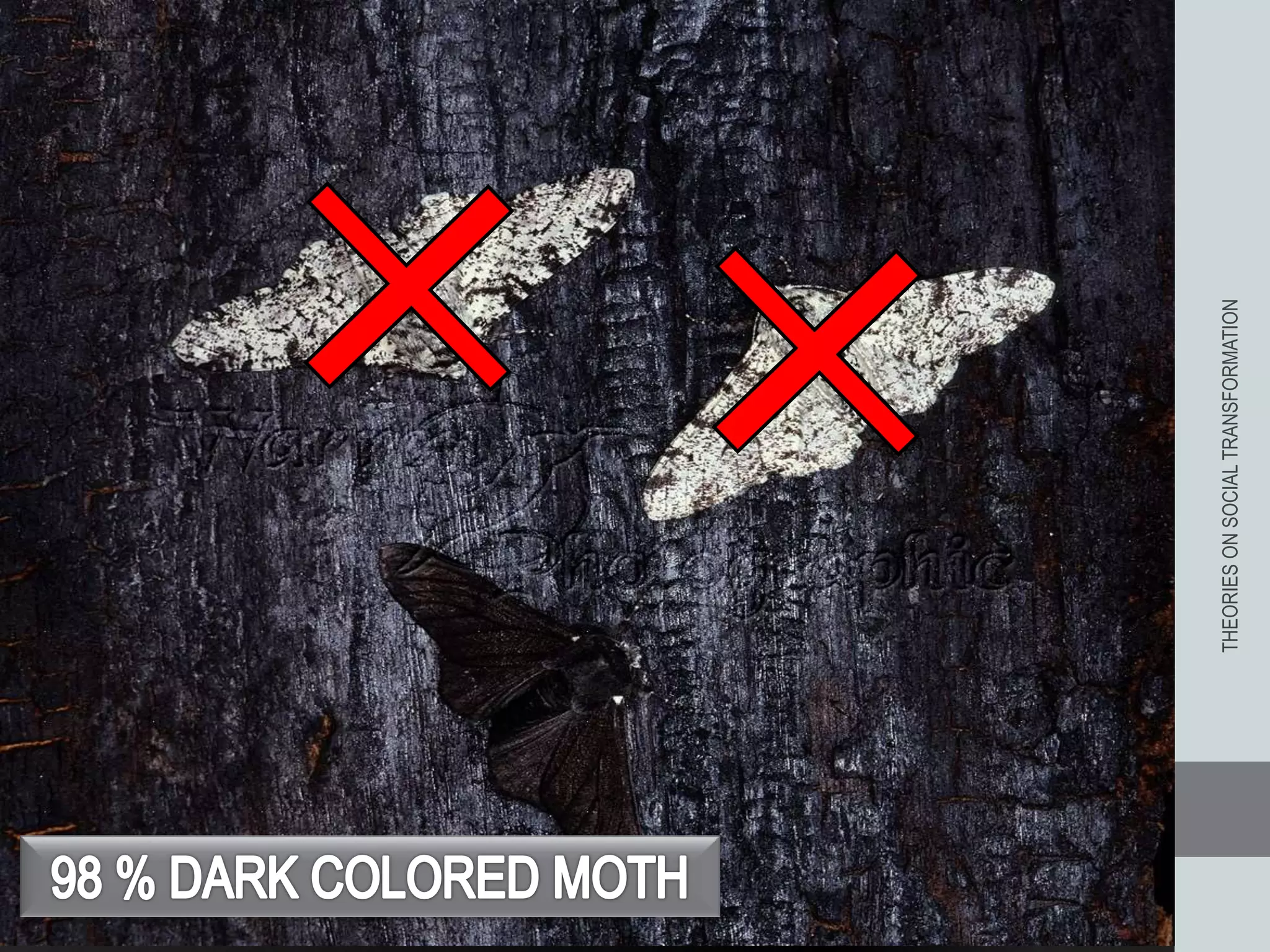 THEORIESONSOCIALTRANSFORMATION
 