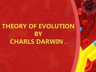 THEORY OF EVOLUTION
BY
CHARLS DARWIN .
 