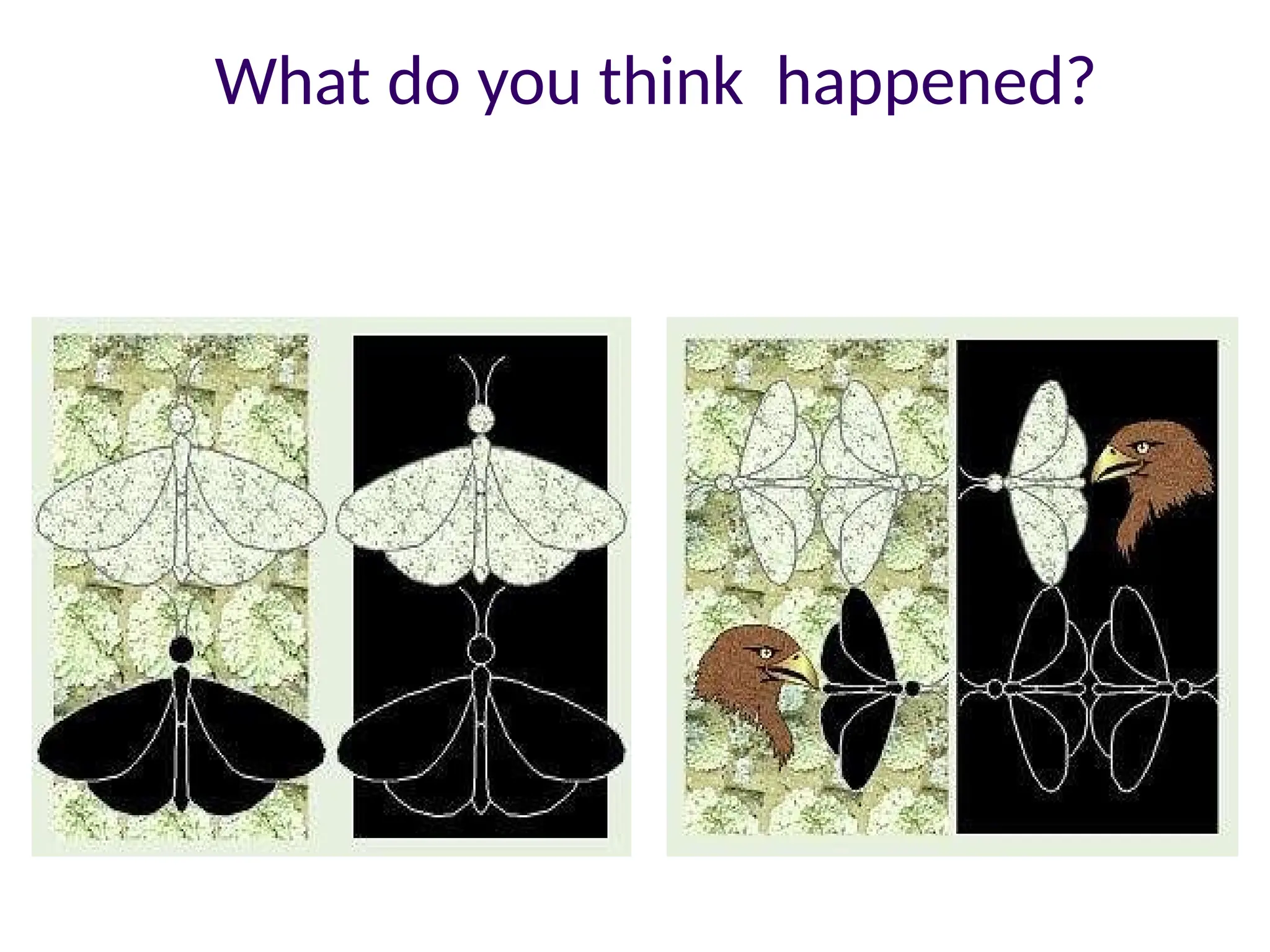 What do you think happened?
 