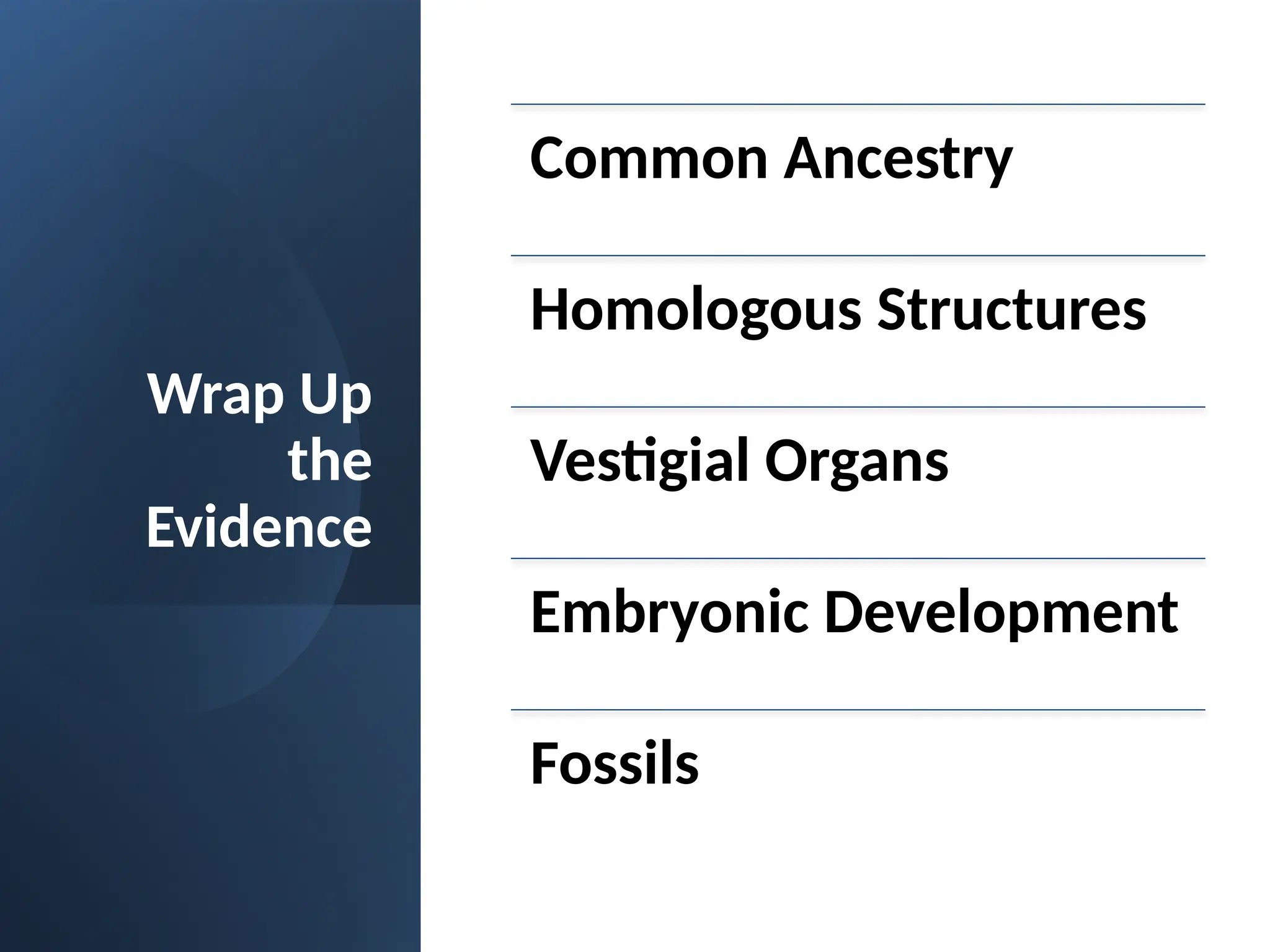 Wrap Up
the
Evidence
Common Ancestry
Homologous Structures
Vestigial Organs
Embryonic Development
Fossils
 