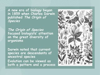 Theory of Evolution (mechanism of developing) | PPTX