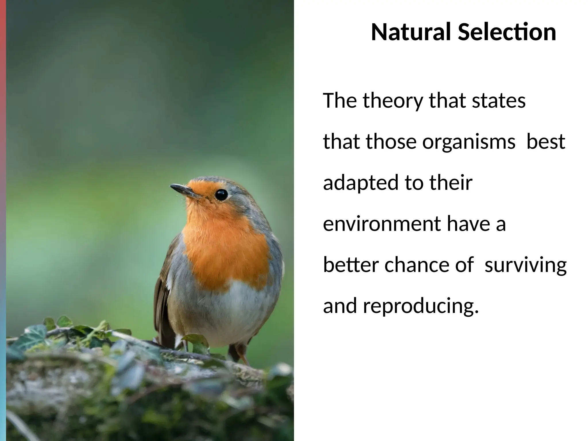 Natural Selection
The theory that states
that those organisms best
adapted to their
environment have a
better chance of surviving
and reproducing.
 