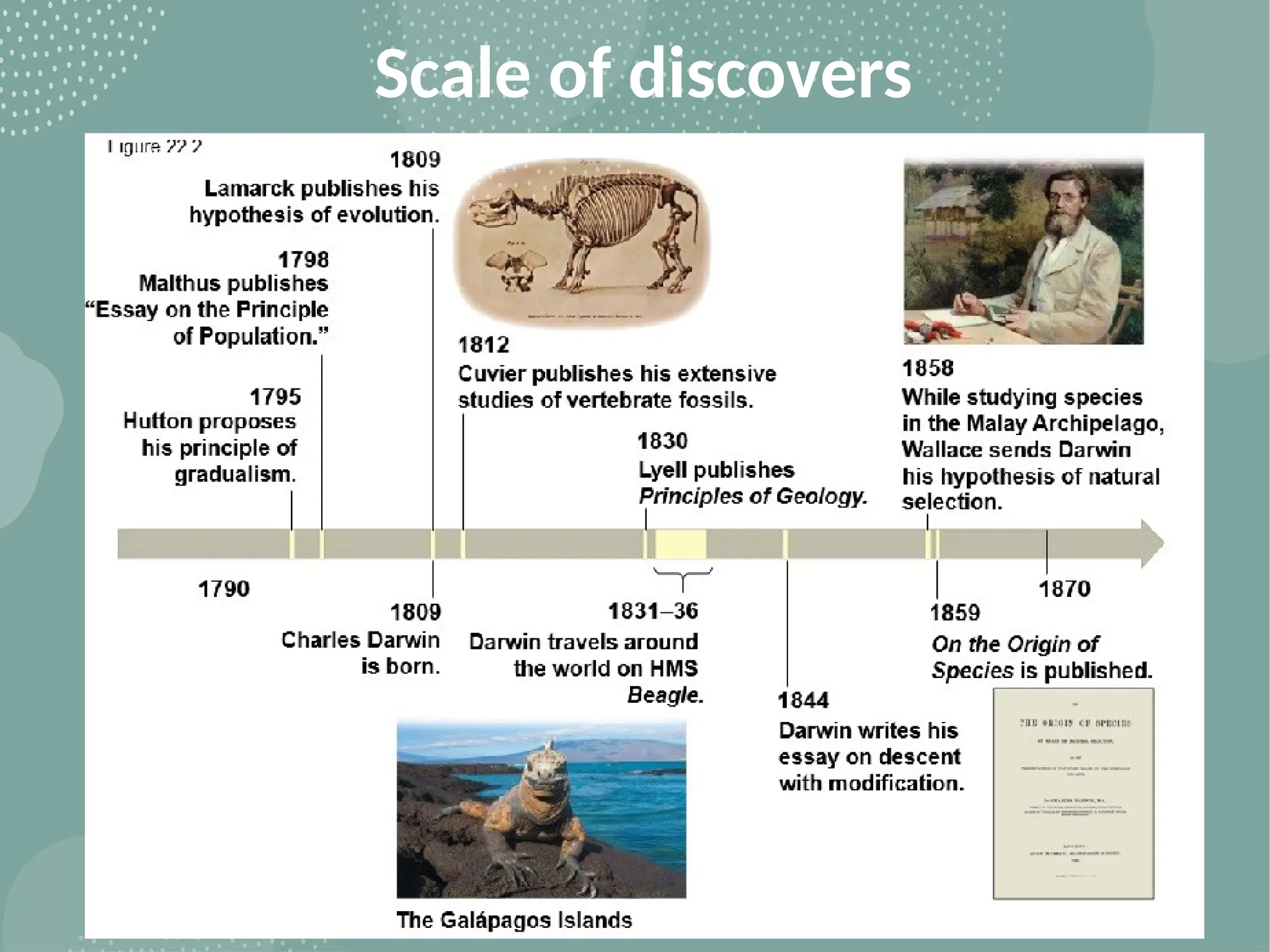 Scale of discovers
 