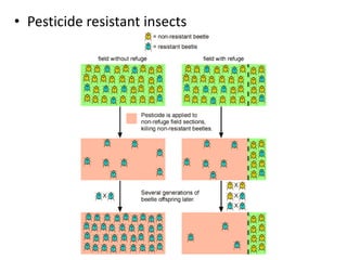 • Pesticide resistant insects
 