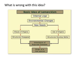 What is wrong with this idea?
 