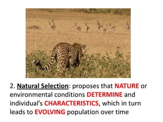 2. Natural Selection: proposes that NATURE or
environmental conditions DETERMINE and
individual’s CHARACTERISTICS, which in turn
leads to EVOLVING population over time
 