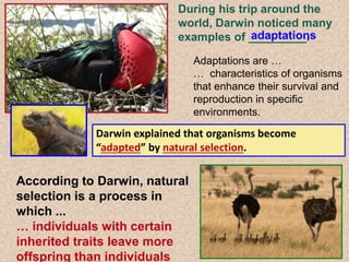 Theory of evolution power point | PPTX