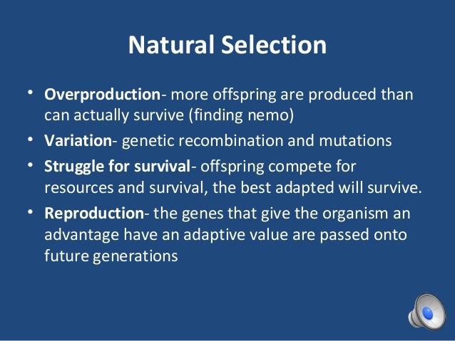 Natural Selection Can Best Be Defined As The Natural Selection Can Best Be Defined As The