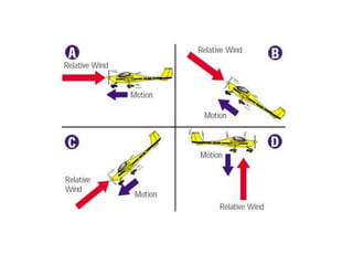 Theory of flight prelim | PPTX