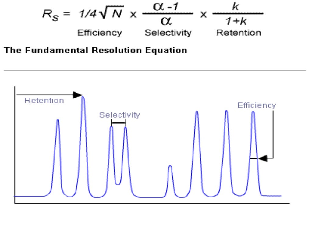 Theory of high performance liquid chromatography ppt
