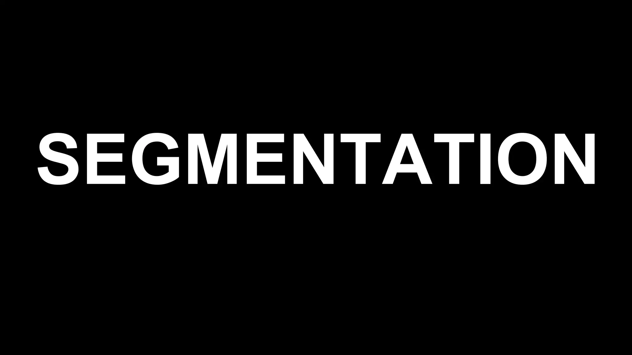 SEGMENTATION
 
