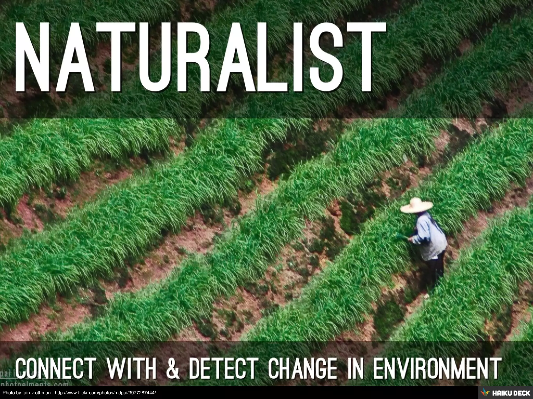 Photo by fairuz othman - http://www.flickr.com/photos/mdpai/3977287444/