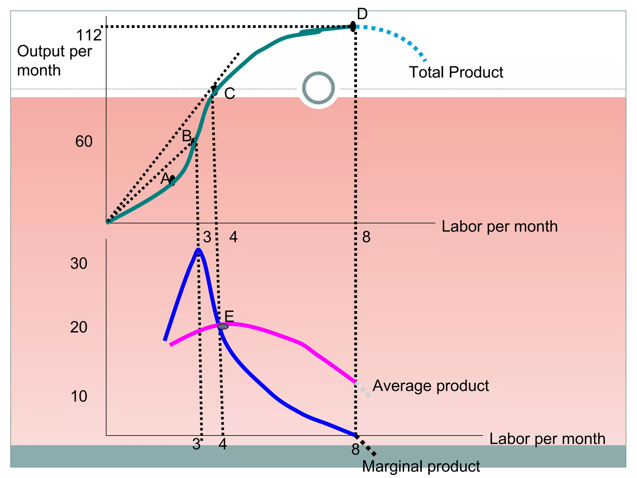 A C B Total Product Labor per month 3 4 8 8 4 3 E Average product Marginal product Output per month 112 Labor per month 60 30 20 10 D 