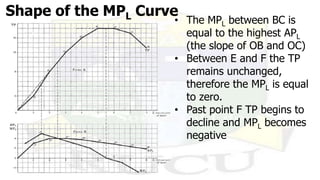 mpl 1 | pptx Images High Quality Grahic Theory of Production and Costs.pptx
