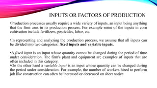 Comprehensive Overview of Production Theory and Functions in Economics ...
