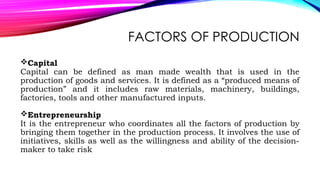 Comprehensive Overview of Production Theory and Functions in Economics ...