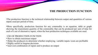 Comprehensive Overview of Production Theory and Functions in Economics ...