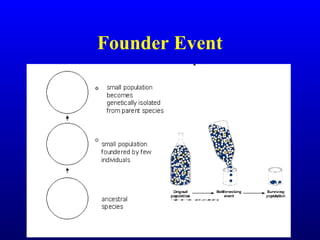 Founder Event
 