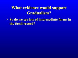 What evidence would support
Gradualism?
• So do we see lots of intermediate forms in
the fossil record?
 